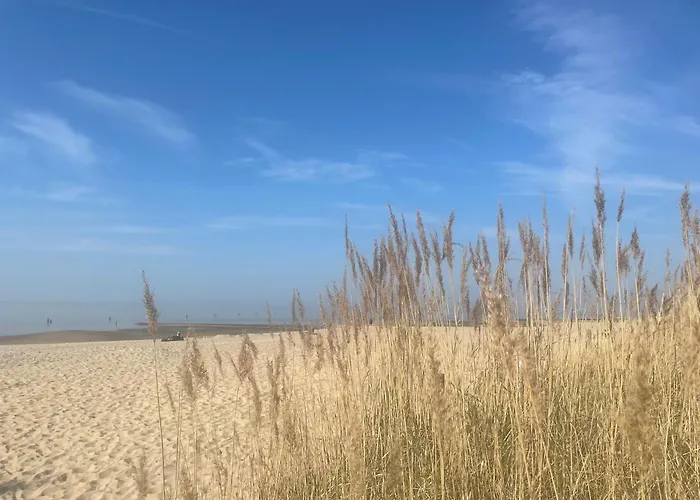 Nordseebrandung B1.3 公寓 库克斯港